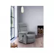 Fauteuil releveur PEGASE