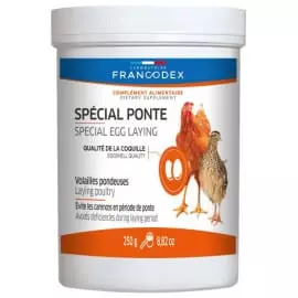 Spécial Ponte FRANCODEX