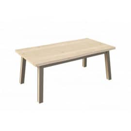 Table 4 pieds 190 x 100 GARDEN