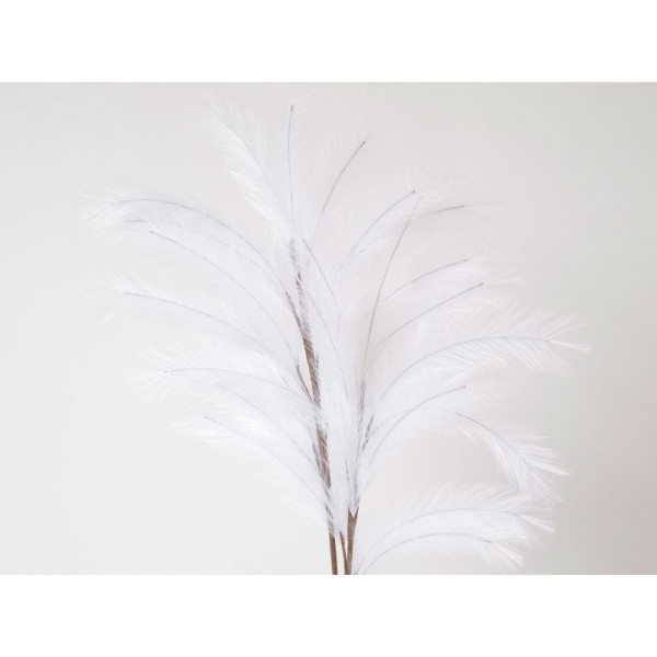 Branche de plume blanche