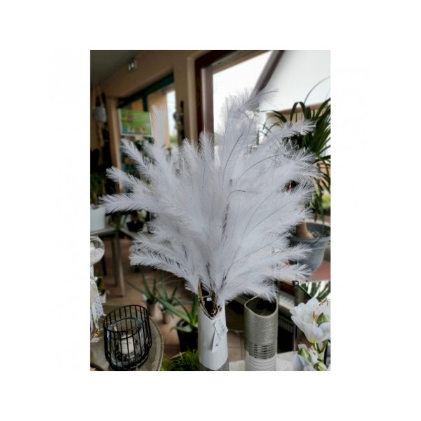 Branche de plume blanche