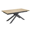 Table céramique LYS