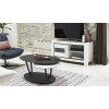 Meuble TV - 1 Portes 117 cm - TOLEDE