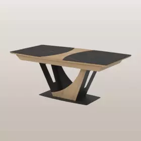 Table tonneau 190 x 100 - OMEGA