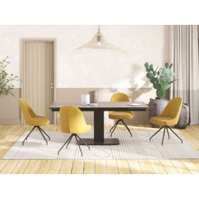 Chaise MIAMI fixe