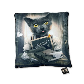Coussin Chat Cancre - Binet