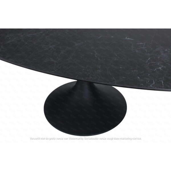 TABLE OVALE CALISE - 250 CM