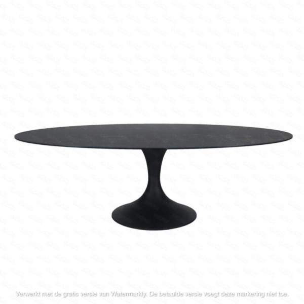 TABLE OVALE CALISE - 250 CM