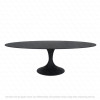TABLE OVALE CALISE - 250 CM