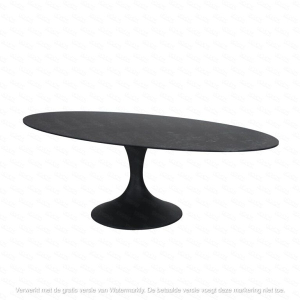TABLE OVALE CALISE - 250 CM