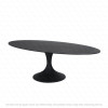 Table ovale CALISE - 250cm