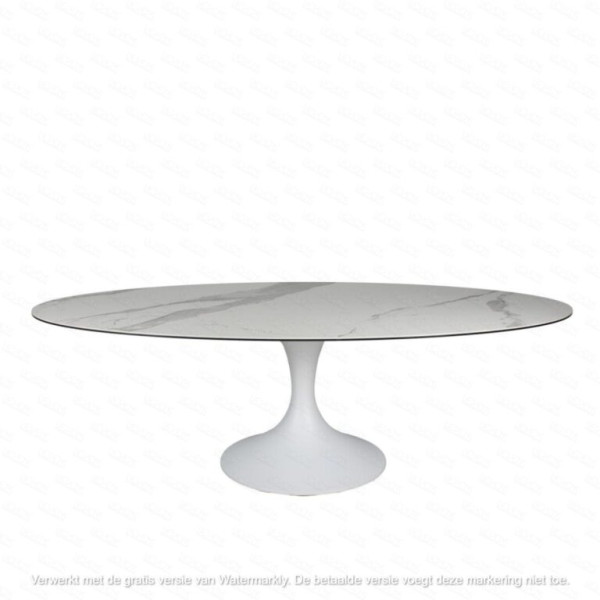 Table ovale CALISE - 250cm