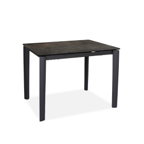 TABLE HAUTE 120 X 80 CM JULES