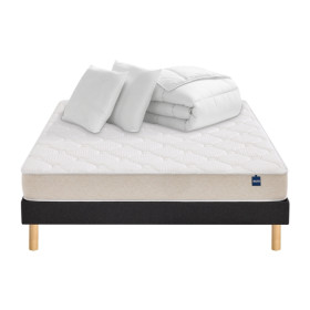 PACK EMMENAGEMENT - BULTEX EASY START