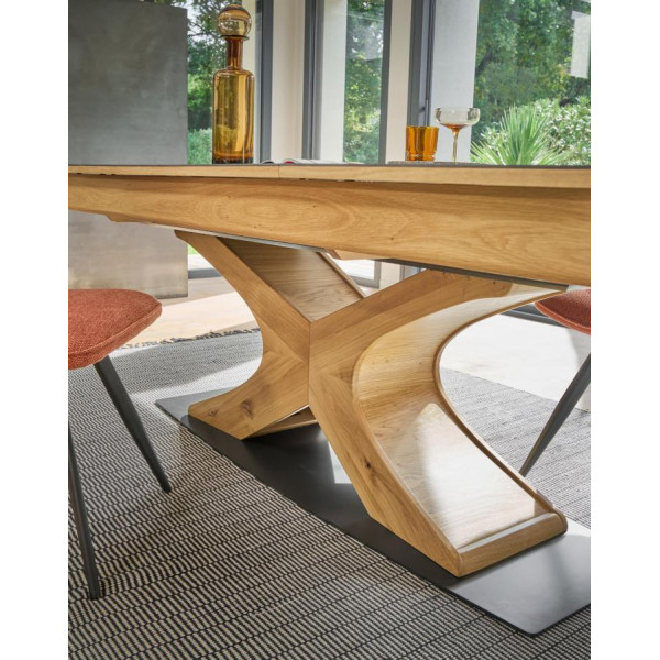 Table repas EXTREME modulable