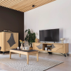MEUBLE TV RIVIERA 2 PORTES - 175 CM