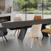 TABLE EXTENSIBLE AZALÉE - 200 - 295 CM