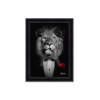 Lion Mafia NB