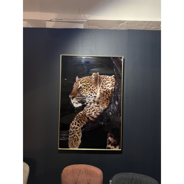 Photographie art panthères 80x120
