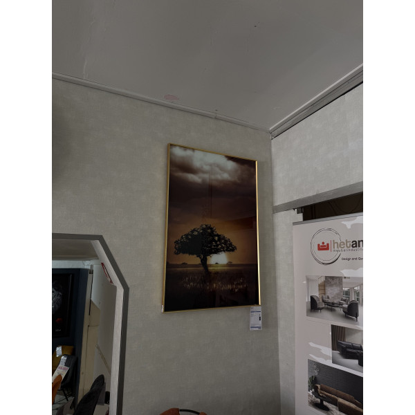 Photographie art arbre 80x120