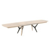Table rectangulaire 220 cm NEO