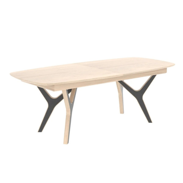 Table rectangulaire 220 cm NEO