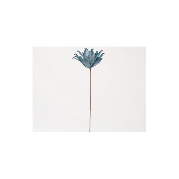 Branche fleur bleue pétrole - Modèle d'exposition