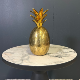 ANANAS GOLDY - MODÈLE D'EXPOSITION